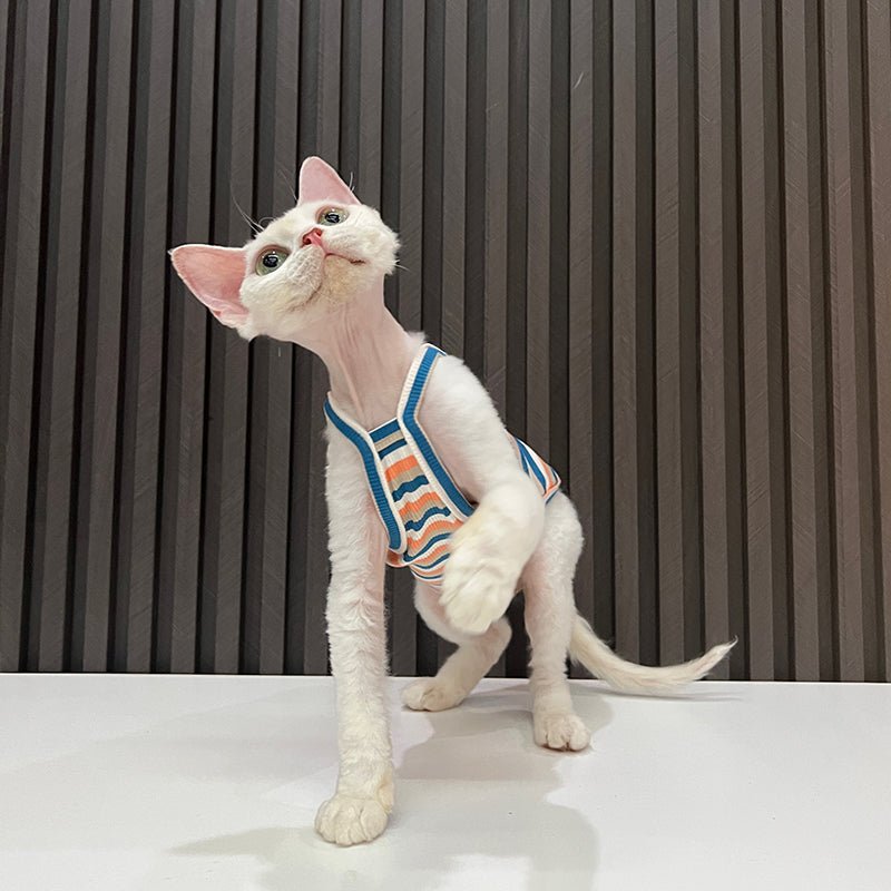 Breathable Cotton Homewear Catsuit for Sphynx Cats - PIKAPIKA