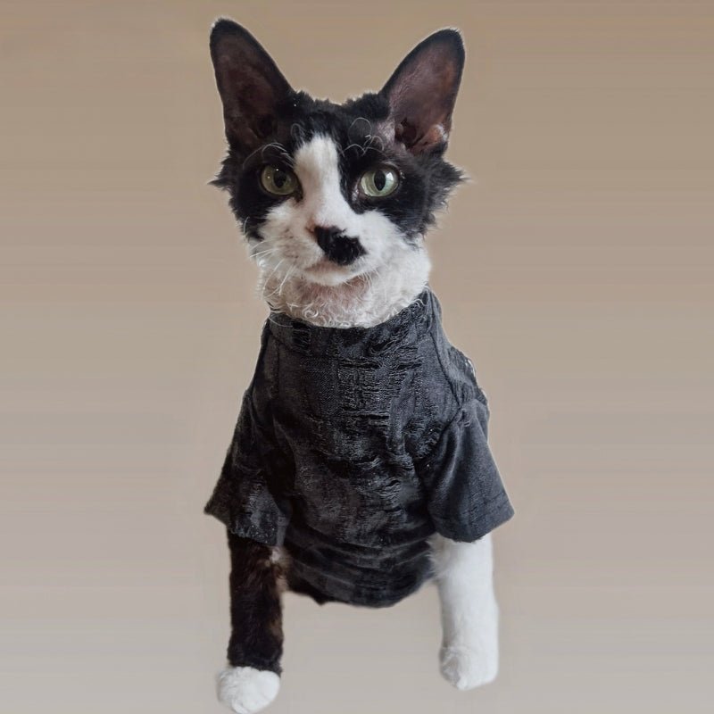 Breathable Cotton T-shirts Shirts Sphynx Cat Clothes Black - PIKAPIKA