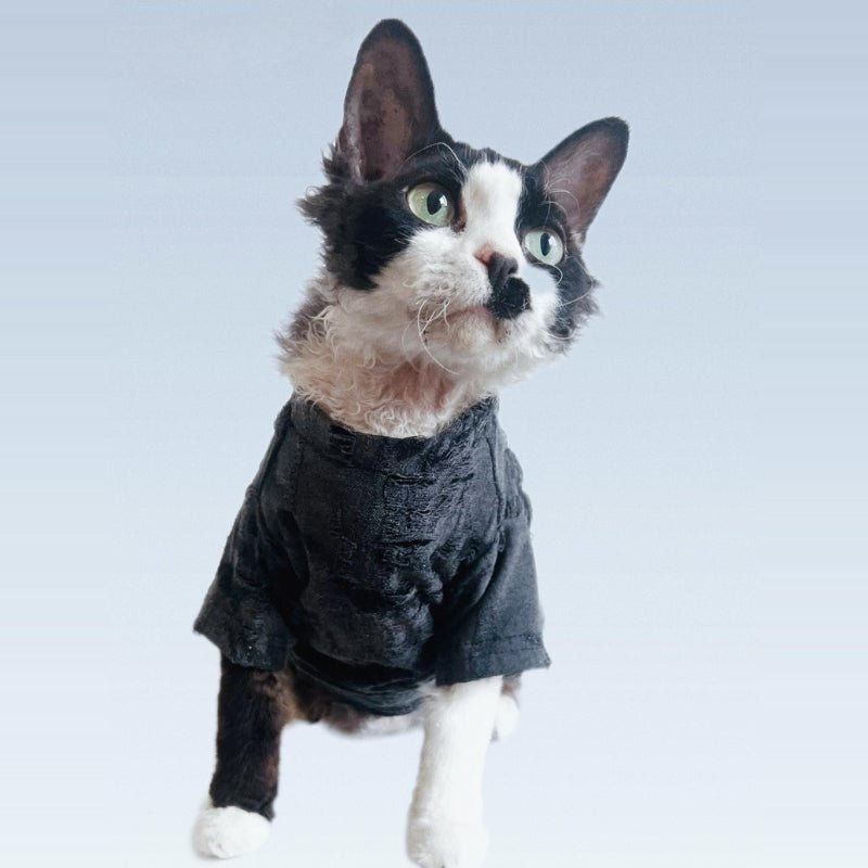 Breathable Cotton T-shirts Shirts Sphynx Cat Clothes Black - PIKAPIKA