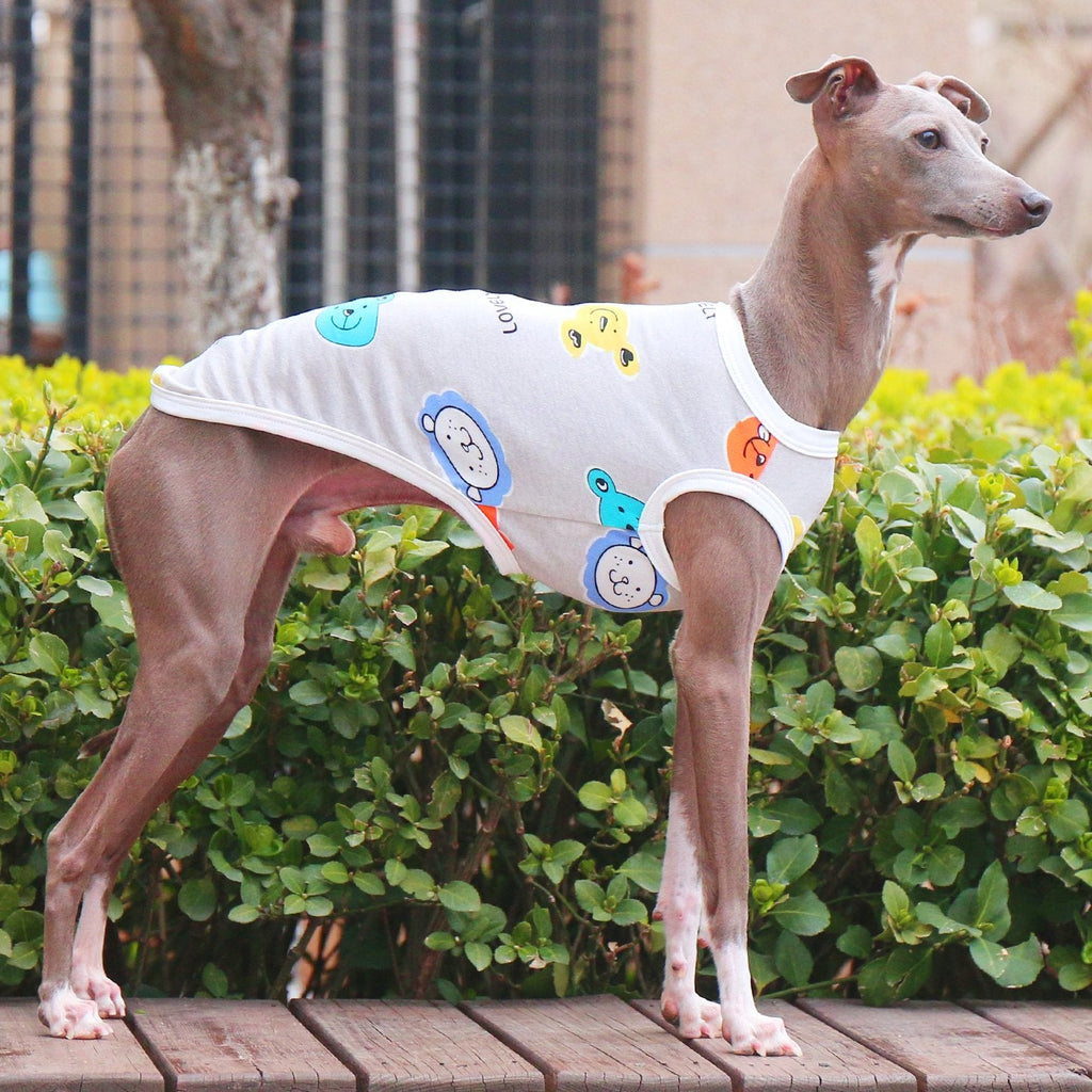 Breathable Floral Stretch Vest for Italian Greyhound - PIKAPIKA