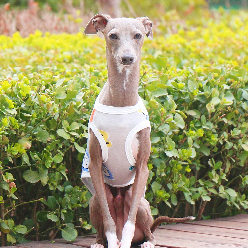 Breathable Floral Stretch Vest for Italian Greyhound - PIKAPIKA