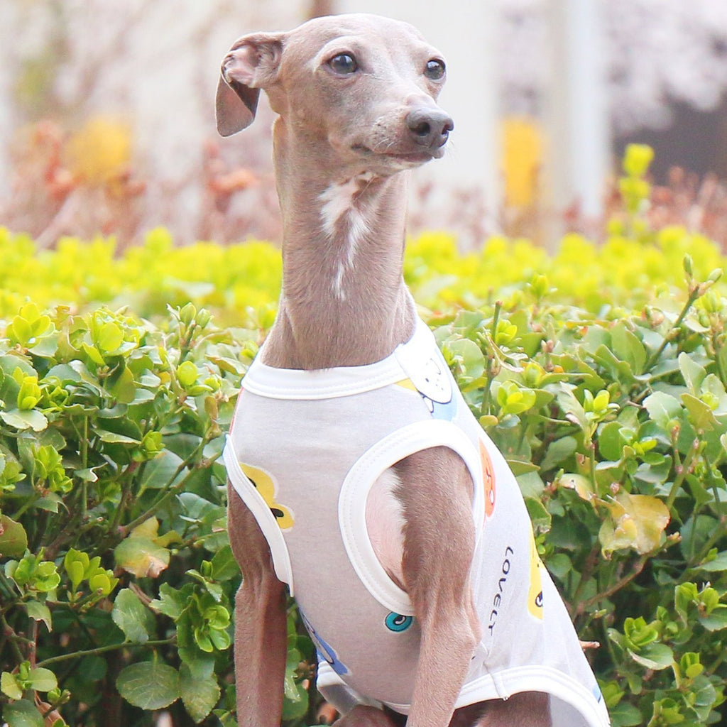 Breathable Floral Stretch Vest for Italian Greyhound - PIKAPIKA