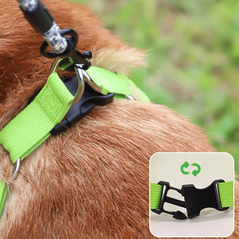 Breathable No - Pull Summer Dog Harness Leash for Small Medium Dogs - PIKAPIKA