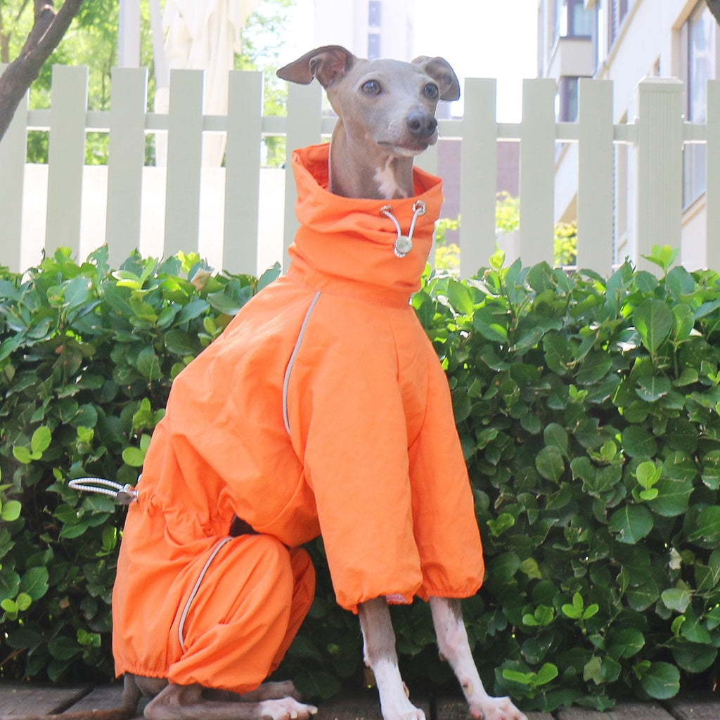 Breathable Waterproof Jacket Highneck Zip Raincoat for Sighthound - PIKAPIKA