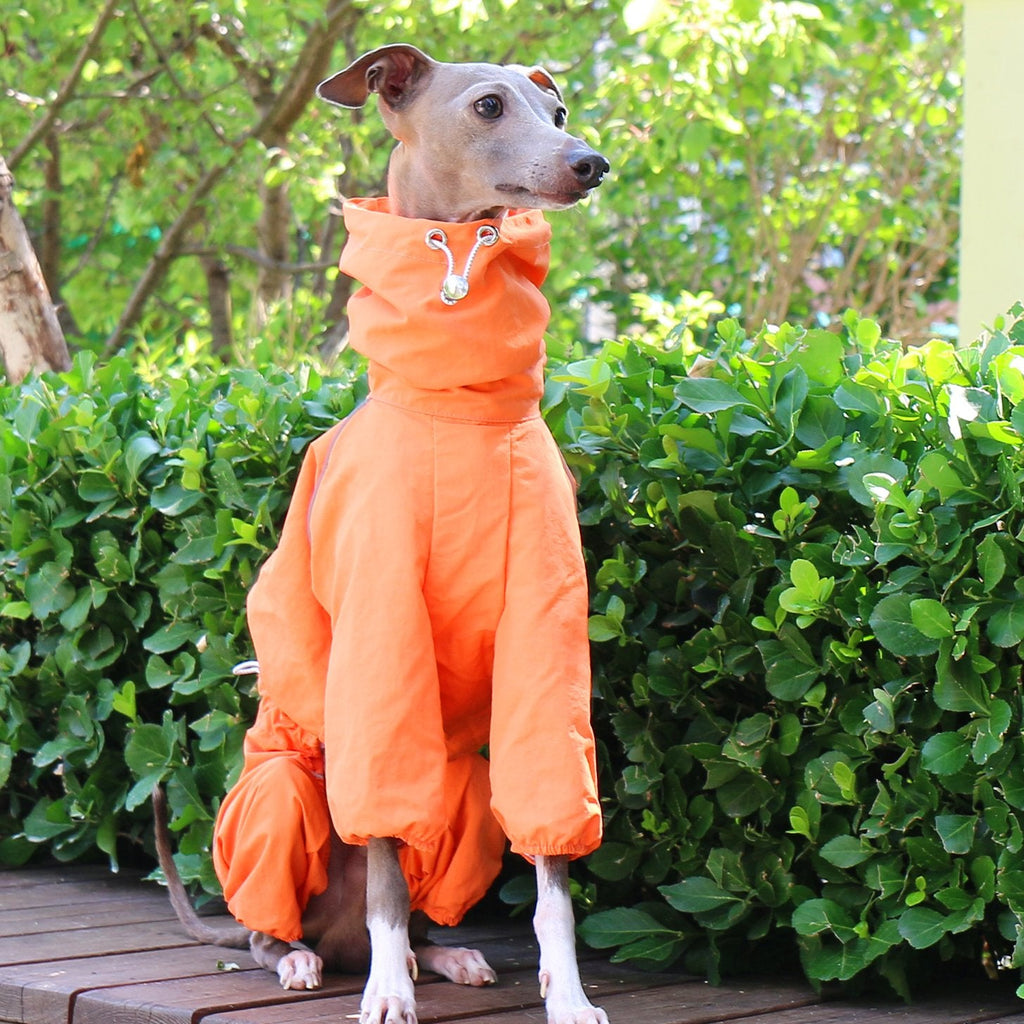 Breathable Waterproof Jacket Highneck Zip Raincoat for Sighthound - PIKAPIKA