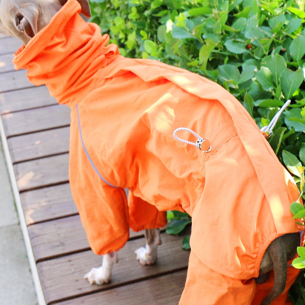 Breathable Waterproof Jacket Highneck Zip Raincoat for Sighthound - PIKAPIKA
