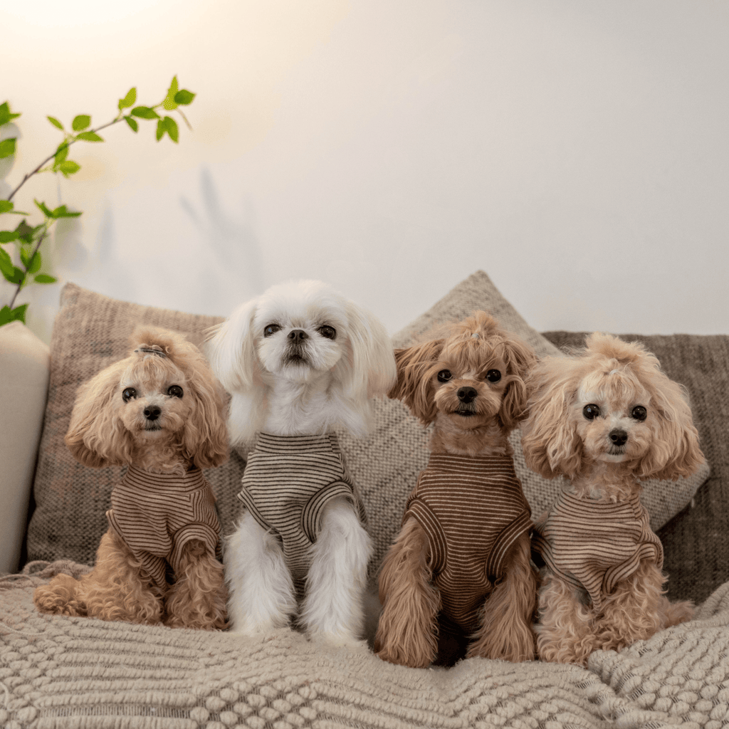 Brushed Cotton Striped Vest for Toy Dogs - PIKAPIKA