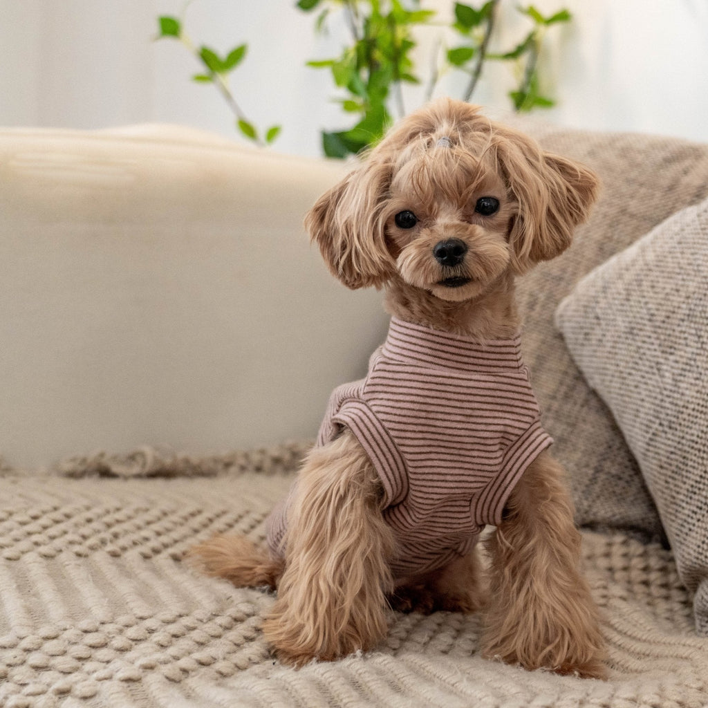Brushed Cotton Striped Vest for Toy Dogs - PIKAPIKA