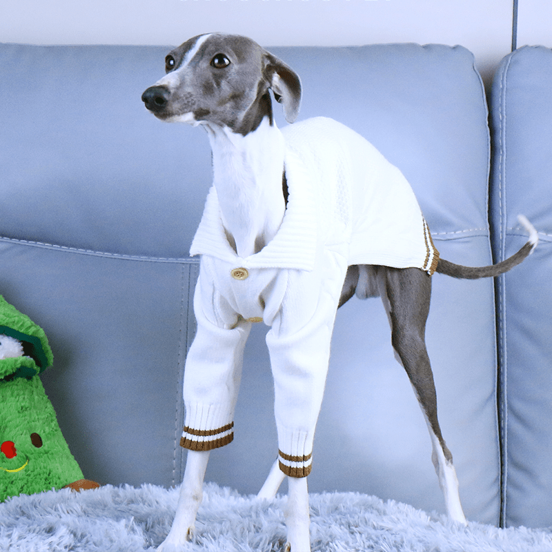 Button Knit Long Sleeve Dog Sweater for Italian Greyhound Whippet Clothes