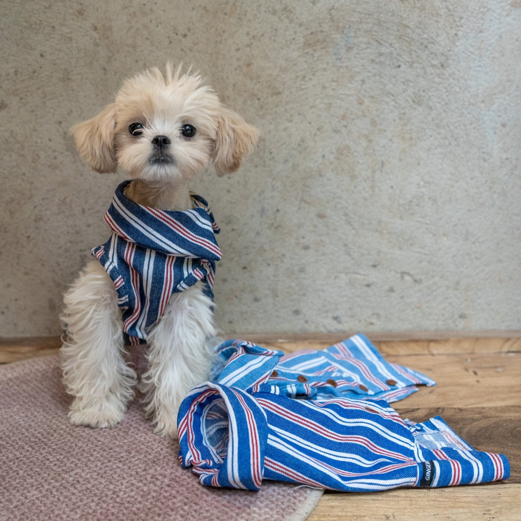 Button Up Plaid Shirt with Denim Detail for Toy Dogs - PIKAPIKA