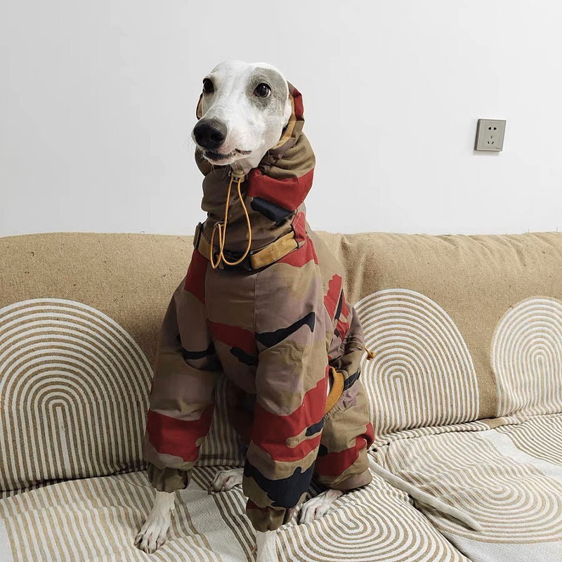 Camouflage Snowsuits Cotton Padded Dog Coat Italian Greyhound Clothes - PIKAPIKA