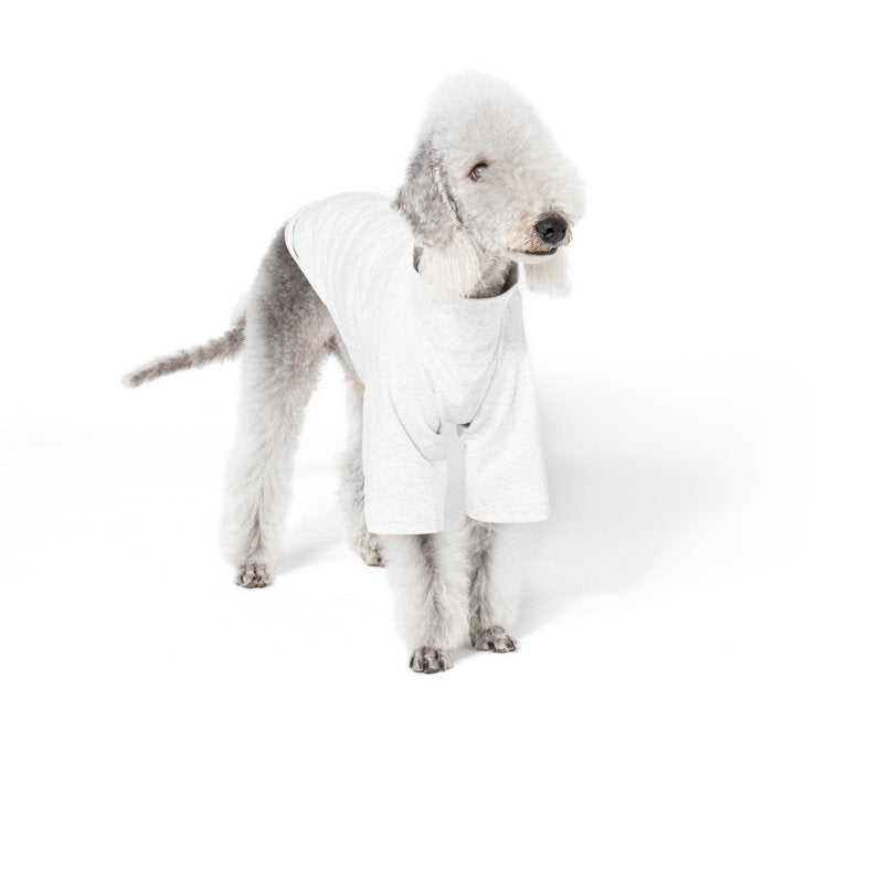 Casual Cotton Comfortable T Shirt for Italian Greyhounds - PIKAPIKA