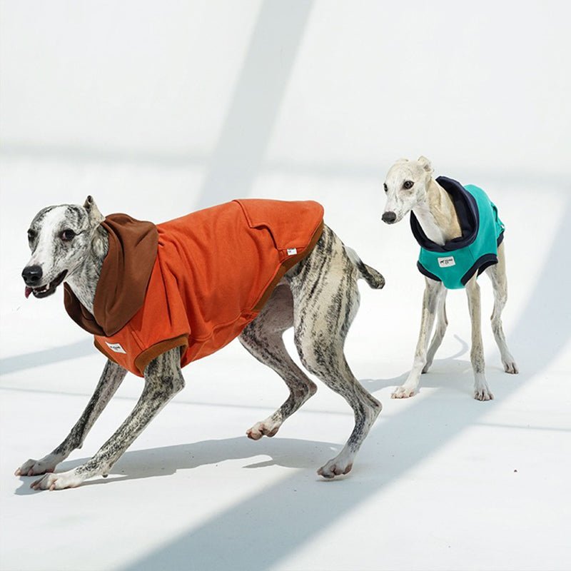 Casual Hoodie for Italian Greyhound Whippet - PIKAPIKA