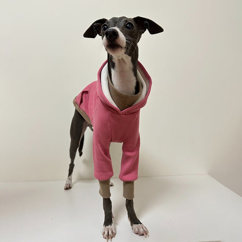 Casual Hoodie for Italian Greyhound Whippet - PIKAPIKA