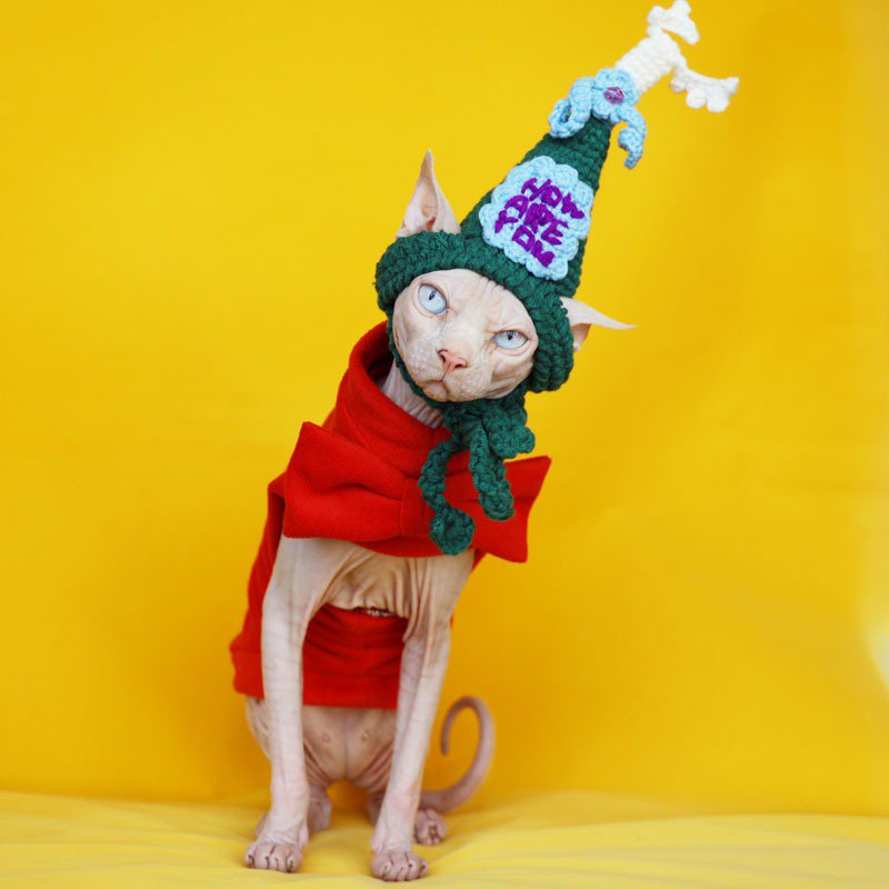 Cat Christmas Hat Accessories Costume - PIKAPIKA