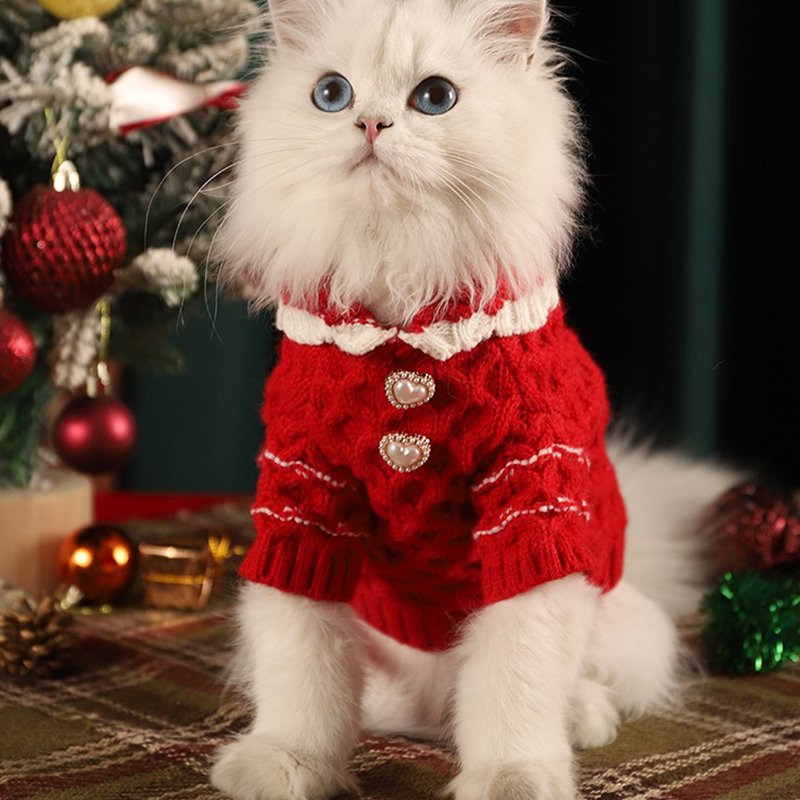 Cat In Christmas Sweaters For Kittens Christmas Tree Cat Christmas