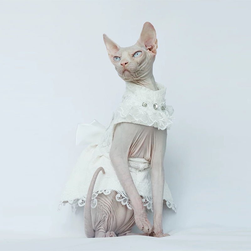 cat bridesmaid dress Amazon.com : GANAZONO Cat Wedding Supplies Lace Cat Wedding Dress Bridesmaid Dress Comfortable Fit : Pet Supplies