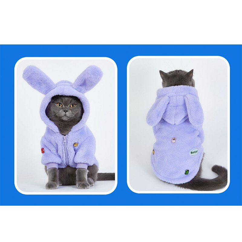 Cat Clothes Zip Jacket with Ear - PIKAPIKA