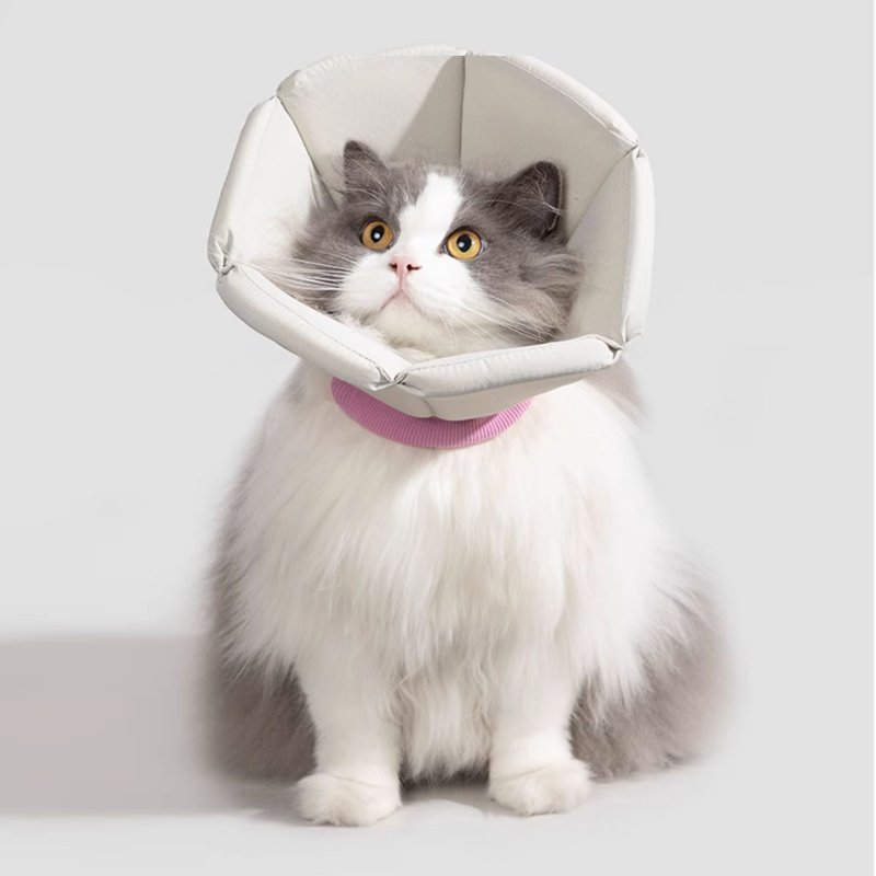 Cat Dog Elizabeth Cone Recovery Collar After Surgery - PIKAPIKA