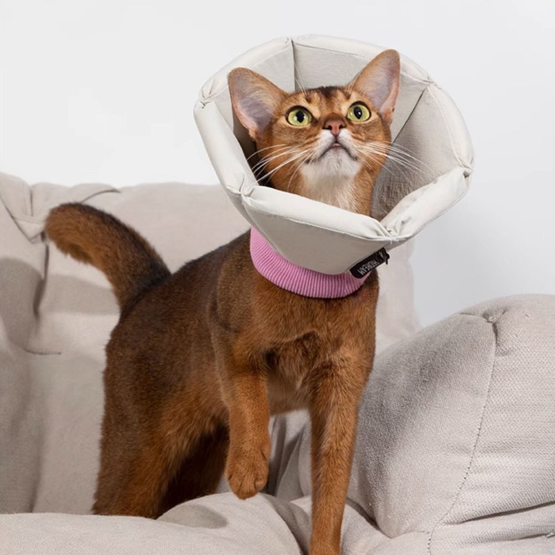 Cat Dog Elizabeth Cone Recovery Collar After Surgery - PIKAPIKA