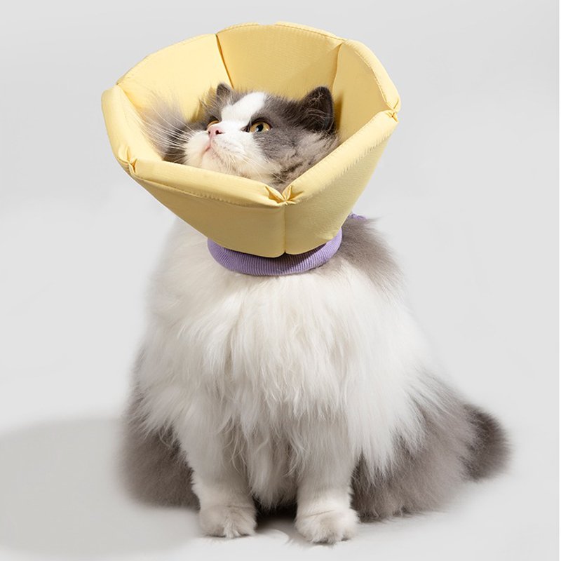 Cat Dog Elizabeth Cone Recovery Collar After Surgery - PIKAPIKA