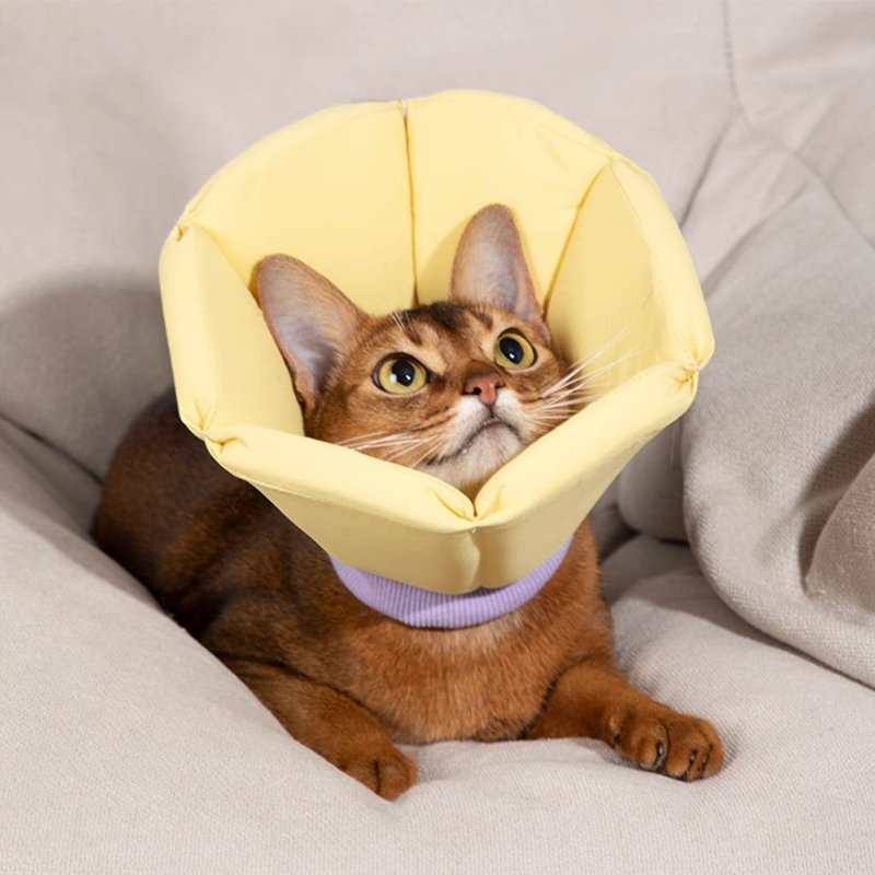 Cat Dog Elizabeth Cone Recovery Collar After Surgery - PIKAPIKA