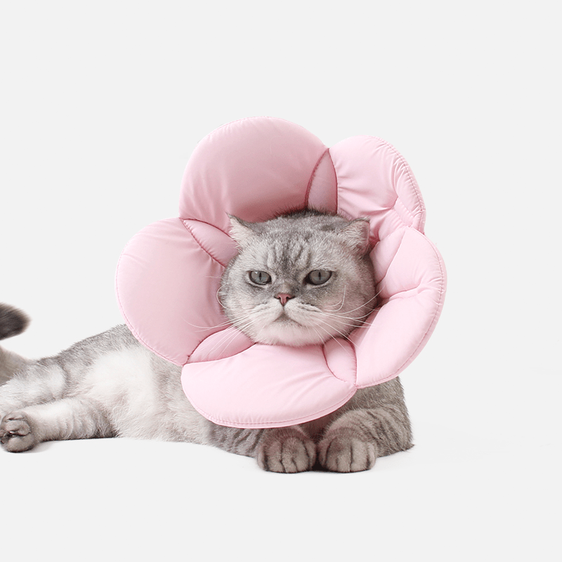 Cat Recovery Collar Dog Recovery Cone Anti - Bite Anti - Lick Head Protective - PIKAPIKA