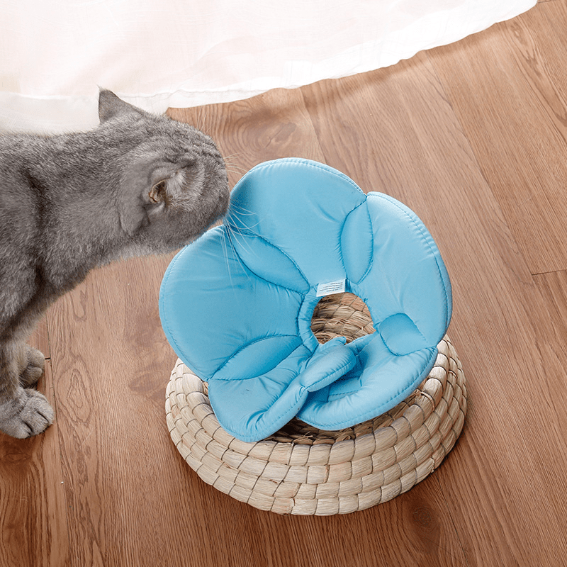 Cat Recovery Collar Dog Recovery Cone Anti - Bite Anti - Lick Head Protective - PIKAPIKA