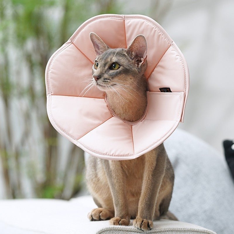 Cat Recovery Collar Dog Recovery Cone Anti - Lick Protective - PIKAPIKA