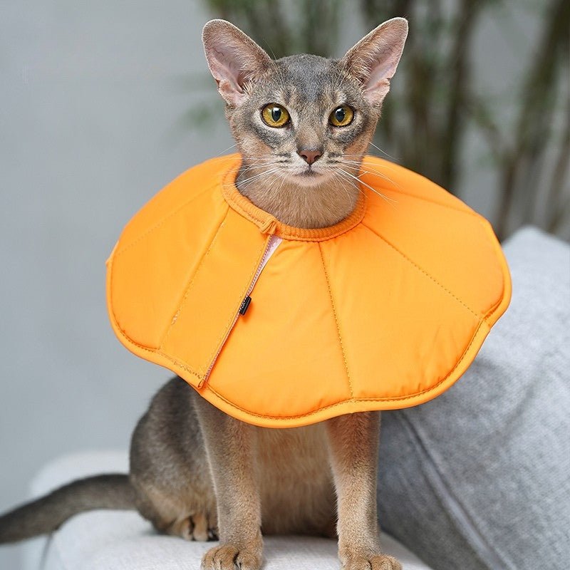 Cat Recovery Collar Dog Recovery Cone Anti - Lick Protective - PIKAPIKA
