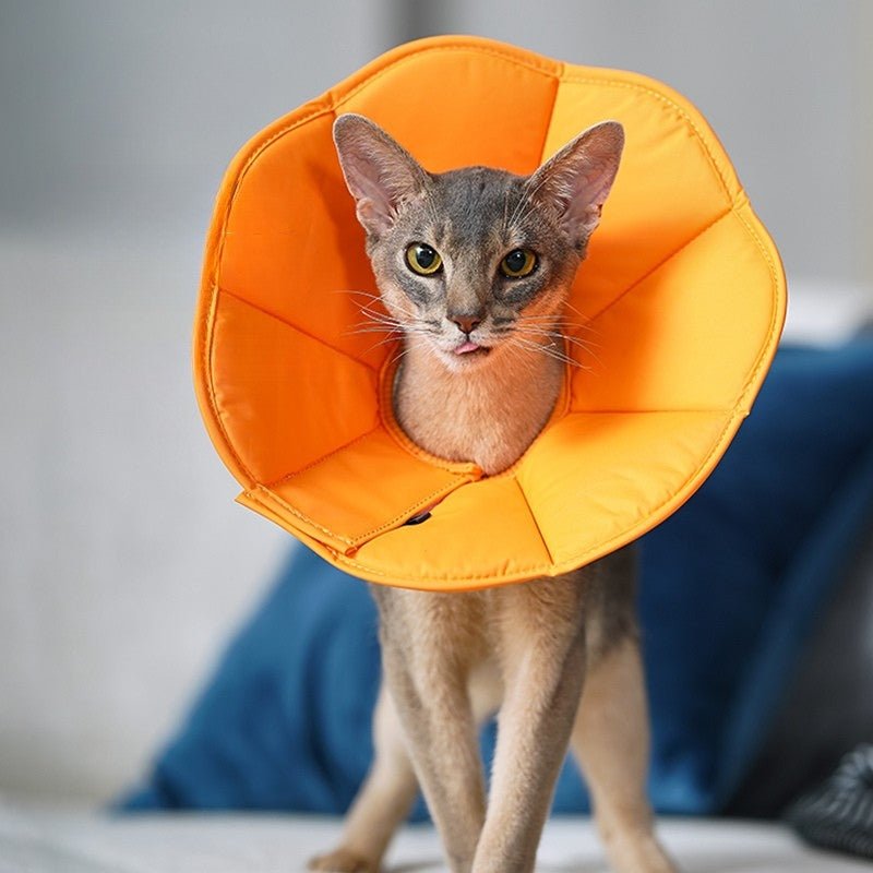 Cat Recovery Collar Dog Recovery Cone Anti - Lick Protective - PIKAPIKA