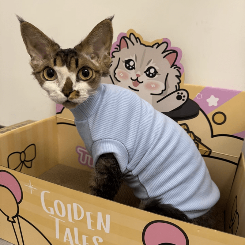 Cat Shirts Sphynx Clothes Cotton Pajamas Sleeveless Turtleneck - PIKAPIKA