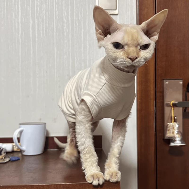 Cat Shirts Sphynx Clothes Cotton Pajamas Sleeveless Turtleneck - PIKAPIKA