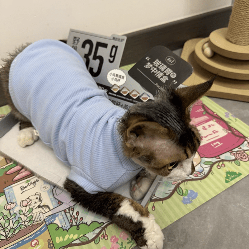 Cat Shirts Sphynx Clothes Cotton Pajamas Sleeveless Turtleneck - PIKAPIKA