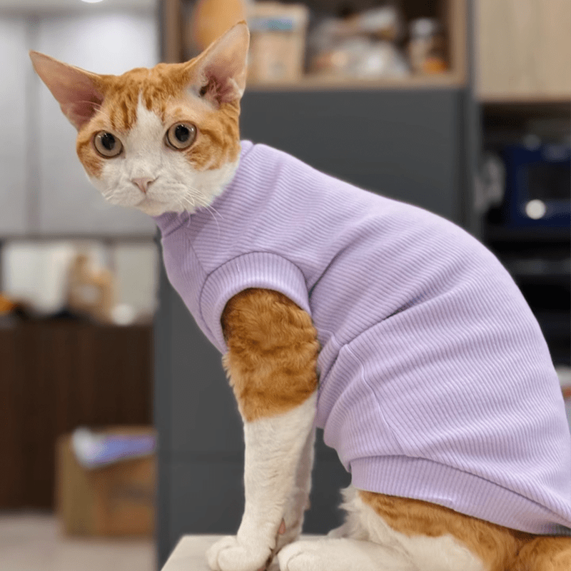 Cat Shirts Sphynx Clothes Cotton Pajamas Sleeveless Turtleneck - PIKAPIKA