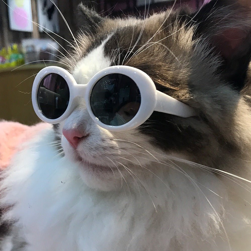 cat goggles Sunglasses OOTD Outfit Pet Accessory Glass Size/Color:Large Red Essential Bike-Helm – CASCO 1989/chevrolet/c2500/4-3 Pet Goggles very suitable