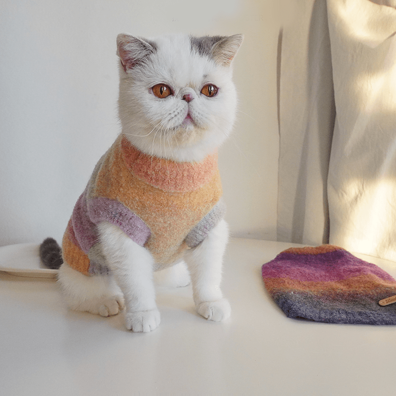 Cat Sweater Rainbow Knitwear Warm Pet Clothes - PIKAPIKA