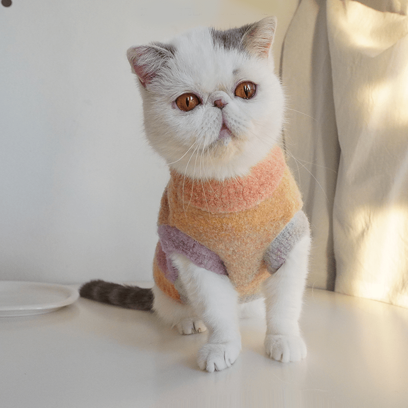 Cat Sweater Rainbow Knitwear Warm Pet Clothes - PIKAPIKA