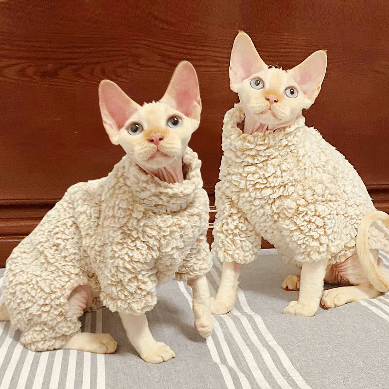 Cat Sweatshirts Sphynx Clothes Fleece Onesies Belly Warm Protect - PIKAPIKA
