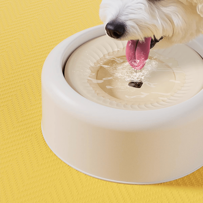 Cat Water Fountain Floating No - Spill Dog Stainless Steel Bowl Set - PIKAPIKA