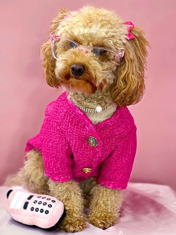 Chanel Style Jacket Warm Dog Clothes - PIKAPIKA
