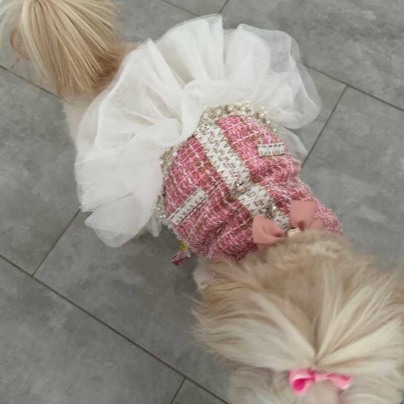 Chanel Style Luxury Dress Dog Clothes - PIKAPIKA
