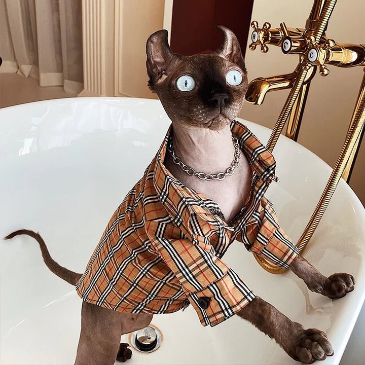 Check Shirt Sphynx Cat Clothes Design Style - PIKAPIKA
