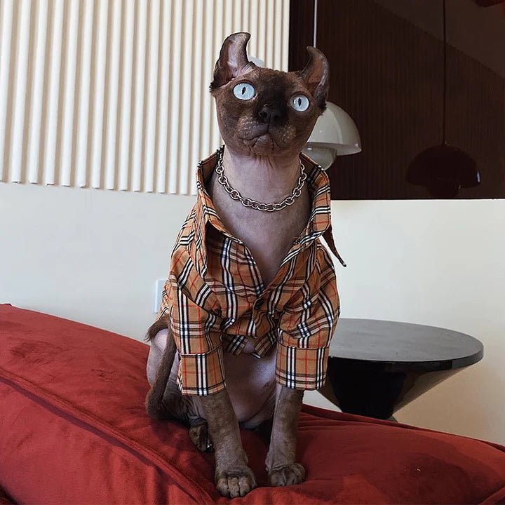Check Shirt Sphynx Cat Clothes Design Style - PIKAPIKA