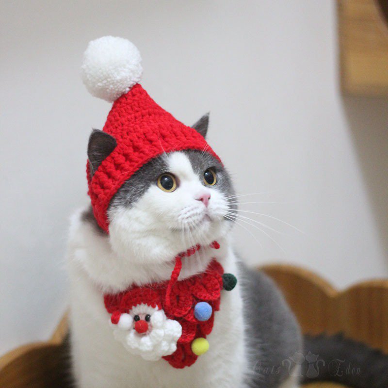 Christmas Cat Hat Bandanas Knit Hand Made - PIKAPIKA