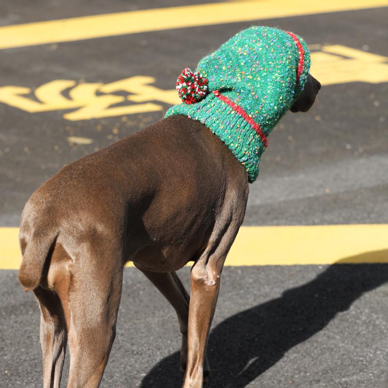 Christmas Hat Knitting Warm Ear Protection Dog Hat - PIKAPIKA