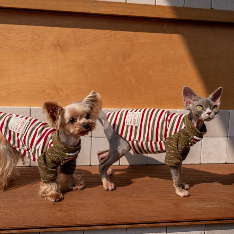 Colorblock Waffle Stripe Cotton T-Shirt Sweatshirt Sphynx Cat Clothes - PIKAPIKA