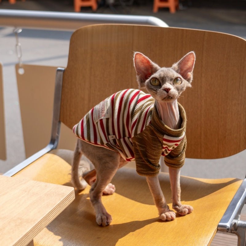 Colorblock Waffle Stripe Cotton T-Shirt Sweatshirt Sphynx Cat Clothes - PIKAPIKA