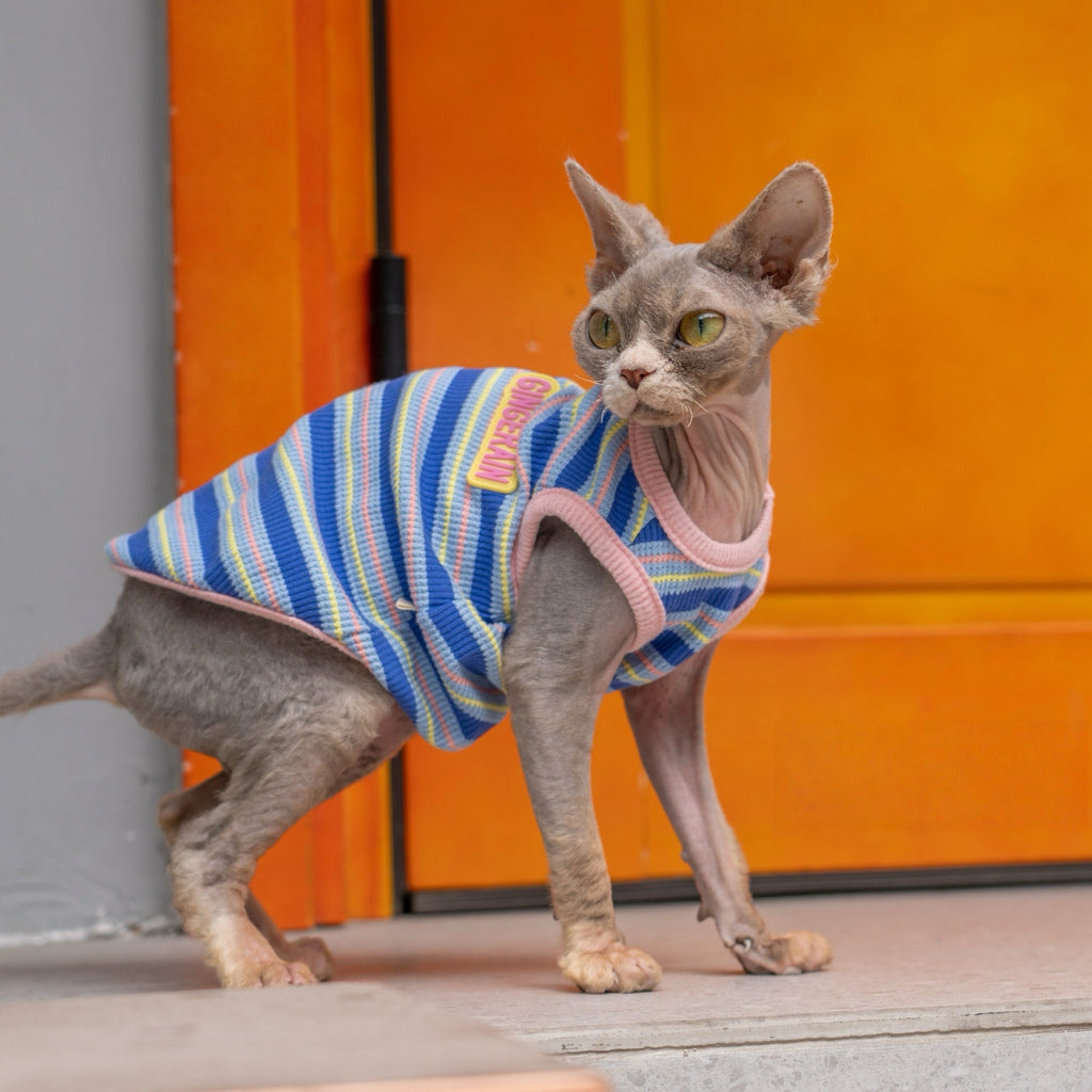 Colorblock Waffle Stripe Vest Cotton T-Shirt Sphynx Cat Clothes - PIKAPIKA