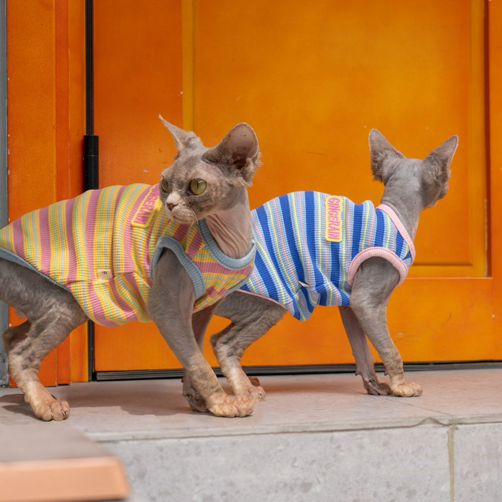 Colorblock Waffle Stripe Vest Cotton T-Shirt Sphynx Cat Clothes - PIKAPIKA